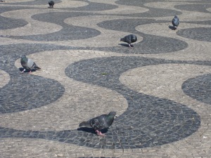 Pombos na calçada